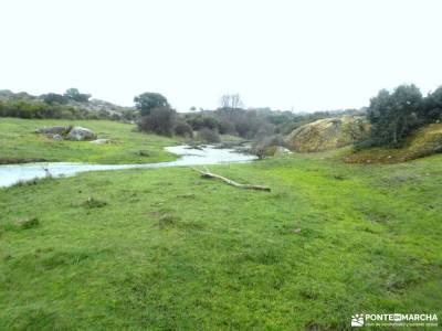 Arribes de Duero zamoranos - Acantilados asombrosos; puente en noviembre paseos por urbasa rutas por